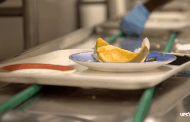 Déchets alimentaires restauration collective